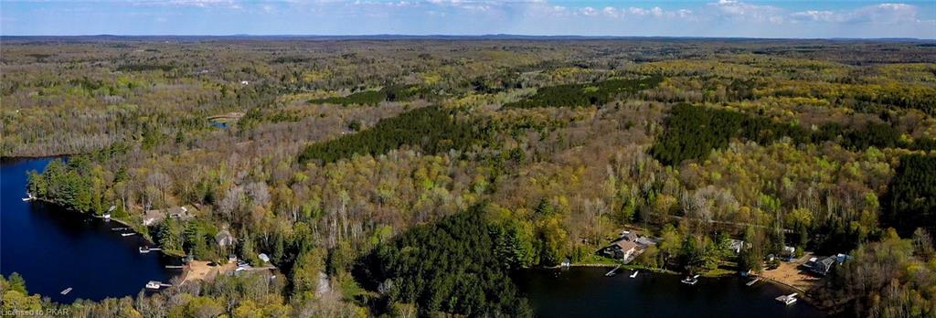 TROTTER-OITMENT Road, North Kawartha Township, Ontario, Canada