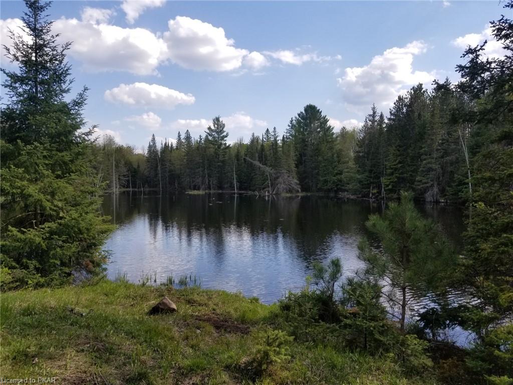 TROTTER-OITMENT Road, North Kawartha Township, Ontario, Canada