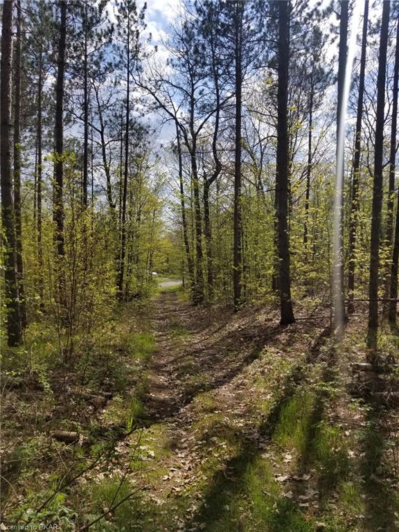 TROTTER-OITMENT Road, North Kawartha Township, Ontario, Canada