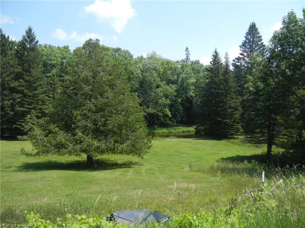 8229 HIGHWAY 28 Highway, Apsley, Ontario, Canada