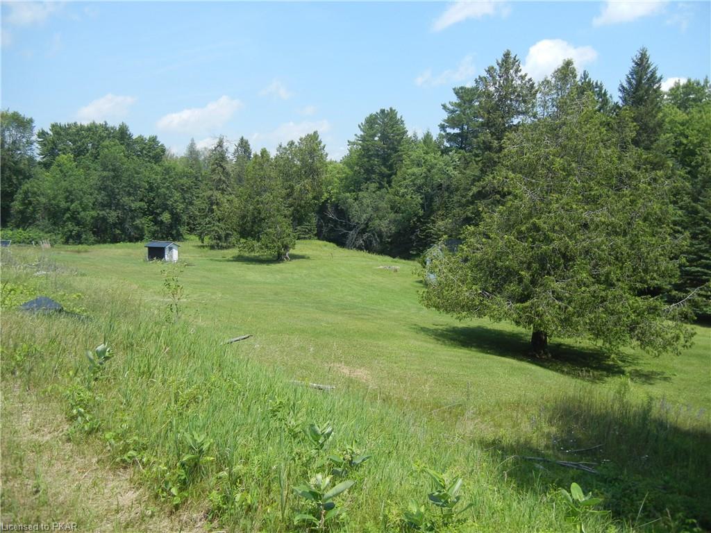 8229 HIGHWAY 28 Highway, Apsley, Ontario, Canada