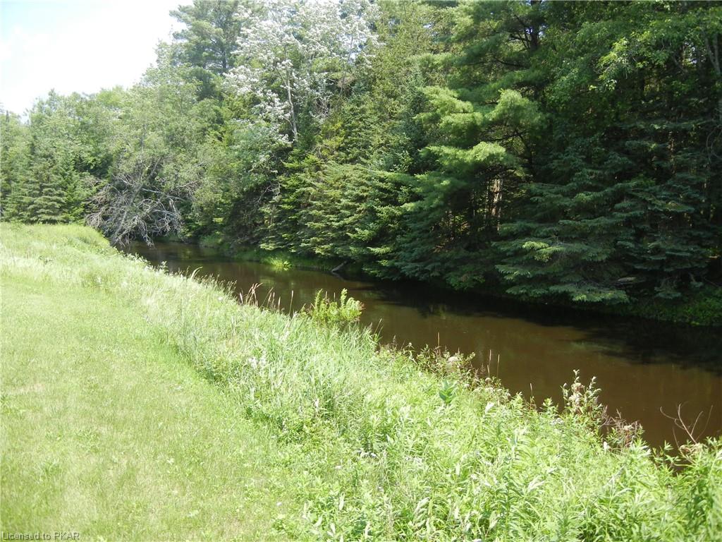 8229 HIGHWAY 28 Highway, Apsley, Ontario, Canada