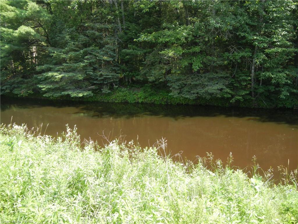 8229 HIGHWAY 28 Highway, Apsley, Ontario, Canada