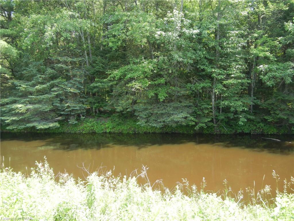 8229 HIGHWAY 28 Highway, Apsley, Ontario, Canada