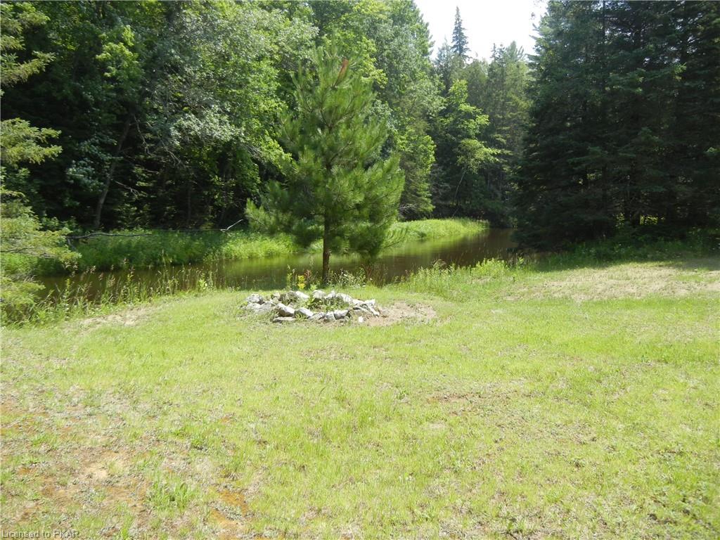8229 HIGHWAY 28 Highway, Apsley, Ontario, Canada