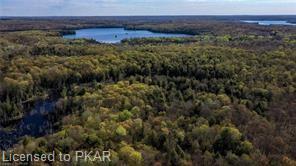 TROTTER-OITMENT Road, North Kawartha Township, Ontario, Canada