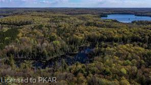 TROTTER-OITMENT Road, North Kawartha Township, Ontario, Canada