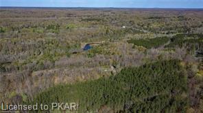 TROTTER-OITMENT Road, North Kawartha Township, Ontario, Canada