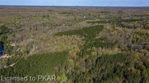 TROTTER-OITMENT Road, North Kawartha Township, Ontario, Canada
