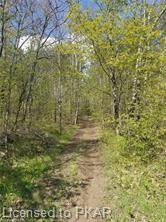TROTTER-OITMENT Road, North Kawartha Township, Ontario, Canada