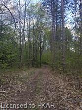 TROTTER-OITMENT Road, North Kawartha Township, Ontario, Canada