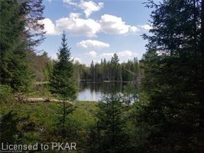 TROTTER-OITMENT Road, North Kawartha Township, Ontario, Canada