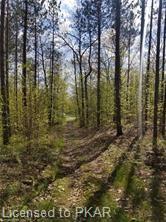 TROTTER-OITMENT Road, North Kawartha Township, Ontario, Canada