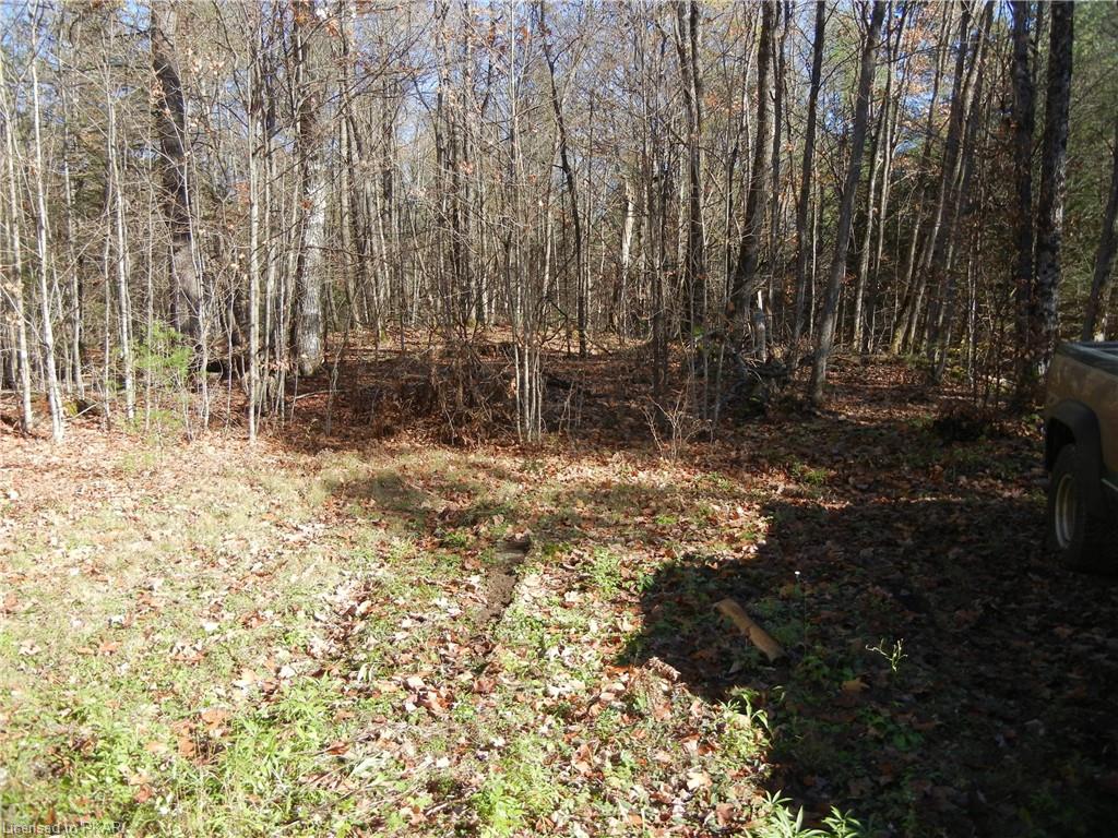 577 OLD APSLEY Road, Apsley, Ontario, Canada