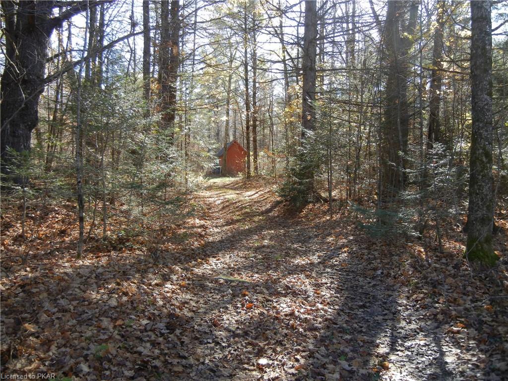577 OLD APSLEY Road, Apsley, Ontario, Canada