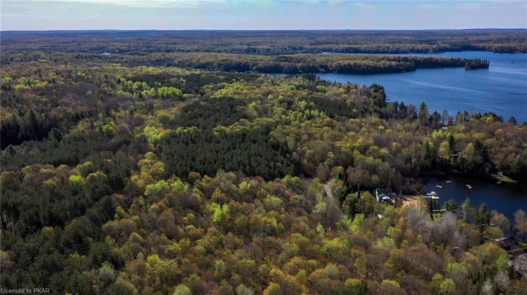 TROTTER-OITMENT Road, North Kawartha Township, Ontario, Canada