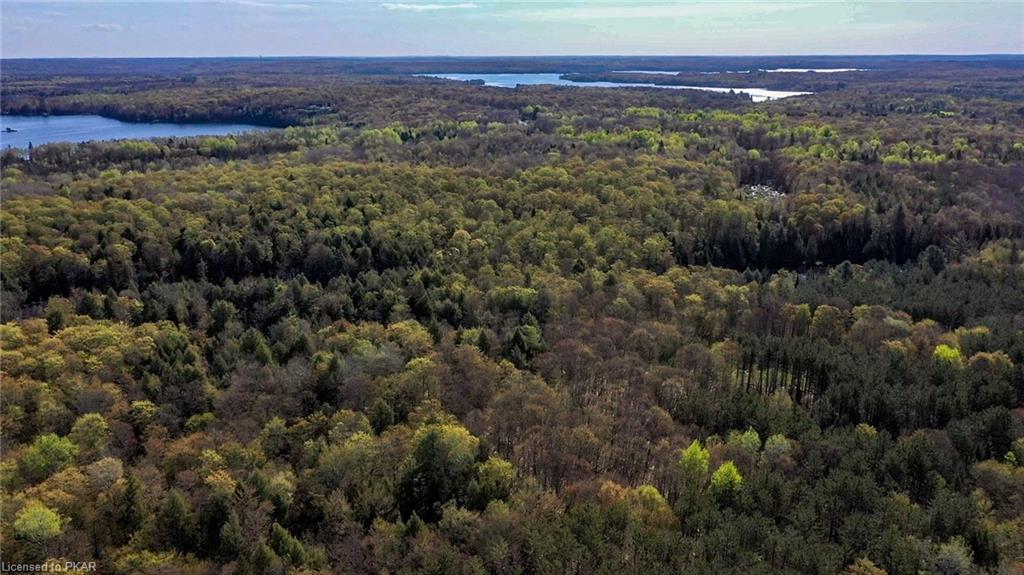 TROTTER-OITMENT Road, North Kawartha Township, Ontario, Canada
