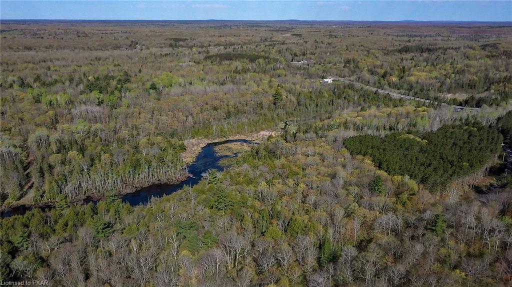 TROTTER-OITMENT Road, North Kawartha Township, Ontario, Canada