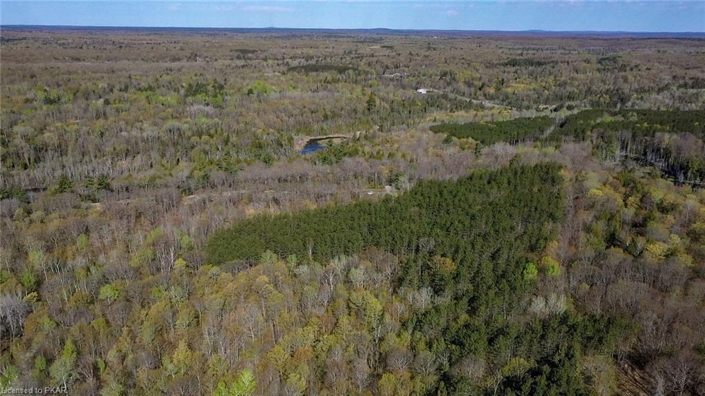 TROTTER-OITMENT Road, North Kawartha Township, Ontario, Canada