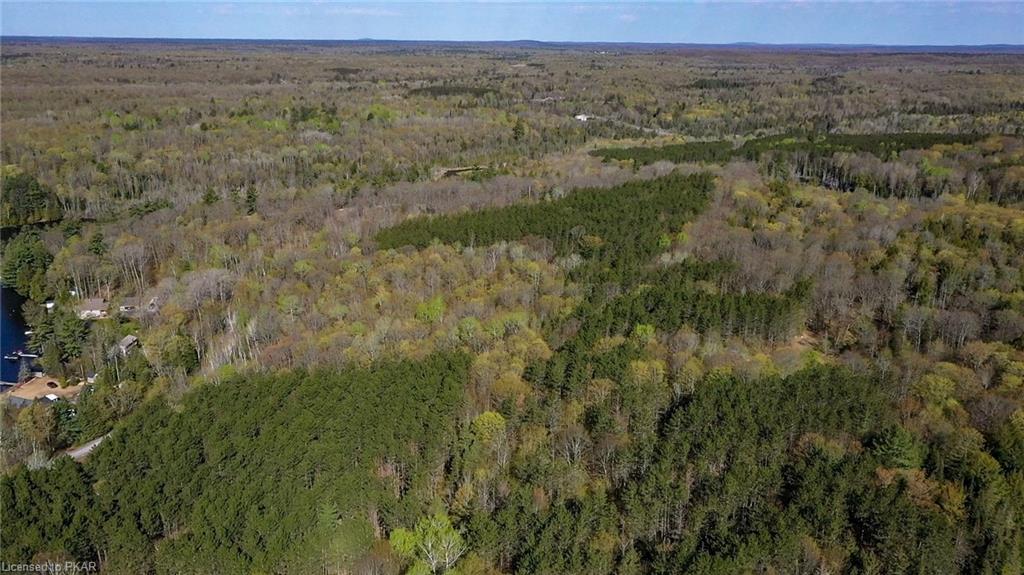 TROTTER-OITMENT Road, North Kawartha Township, Ontario, Canada