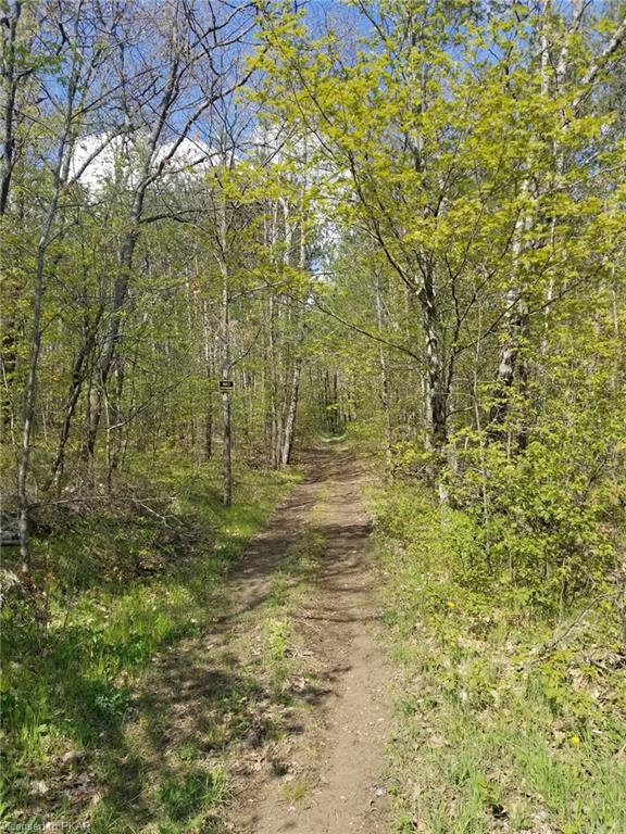 TROTTER-OITMENT Road, North Kawartha Township, Ontario, Canada