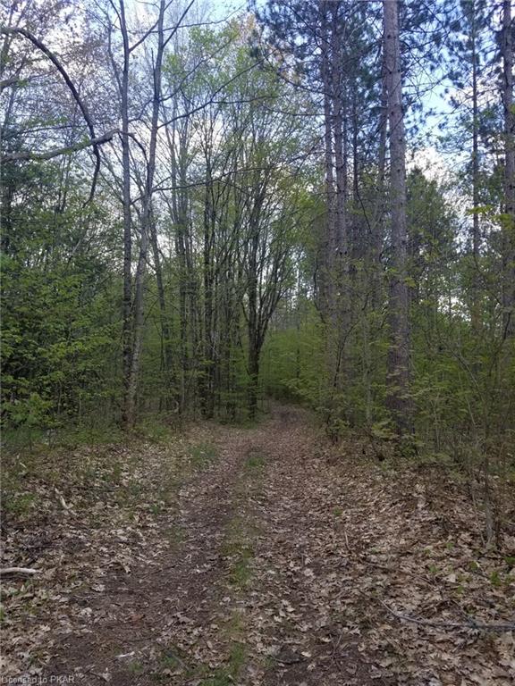 TROTTER-OITMENT Road, North Kawartha Township, Ontario, Canada