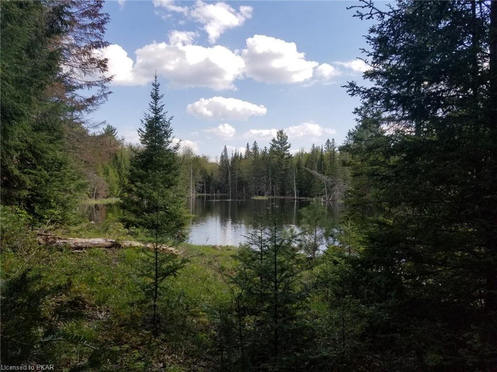 TROTTER-OITMENT Road, North Kawartha Township, Ontario, Canada