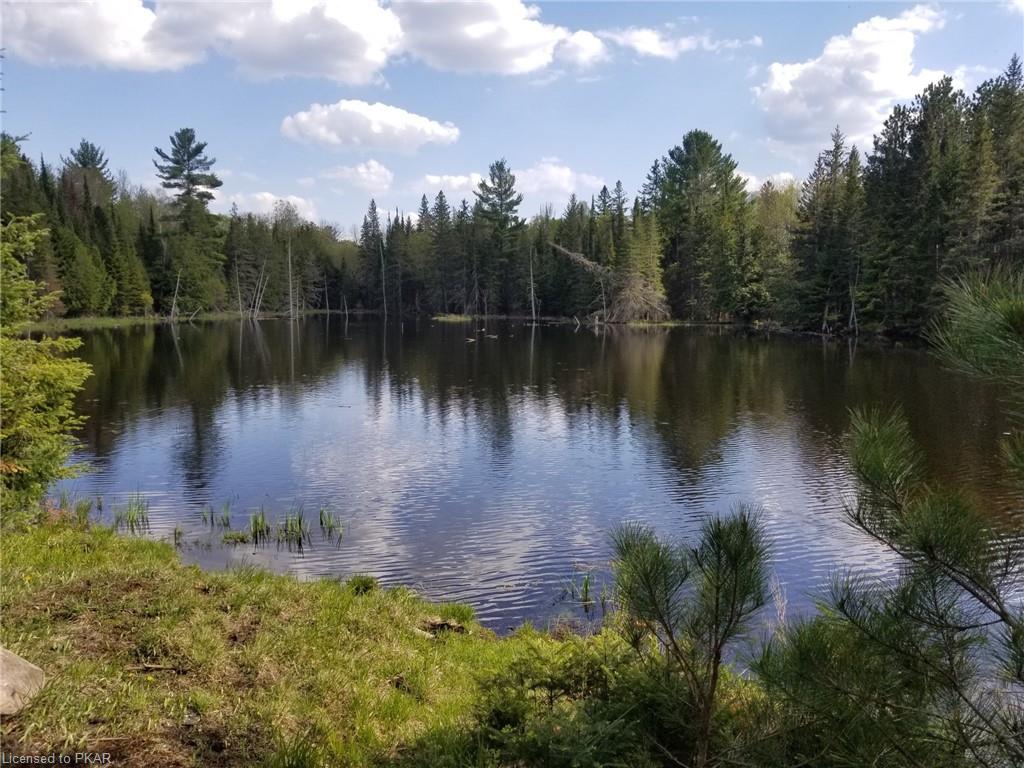 TROTTER-OITMENT Road, North Kawartha Township, Ontario, Canada