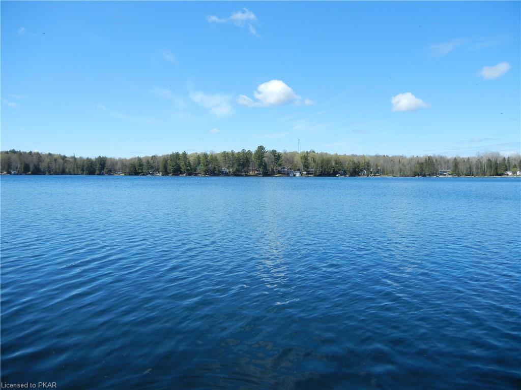 39 SAWMILL BAY Lane, North Kawartha Township, Ontario, Canada