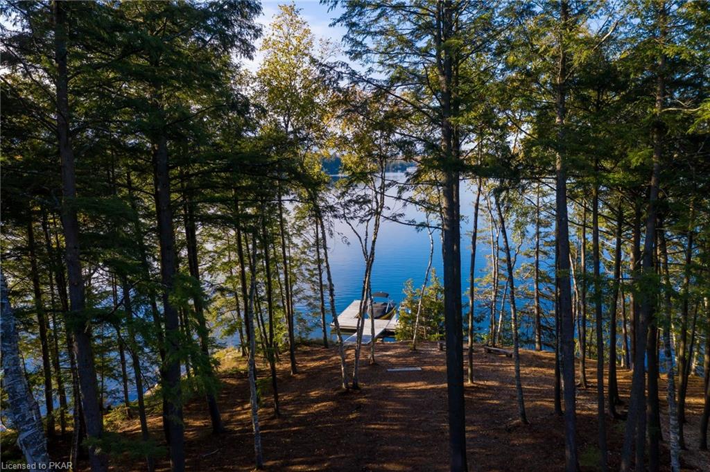 23 SARAH Lane, Apsley, Ontario, Canada