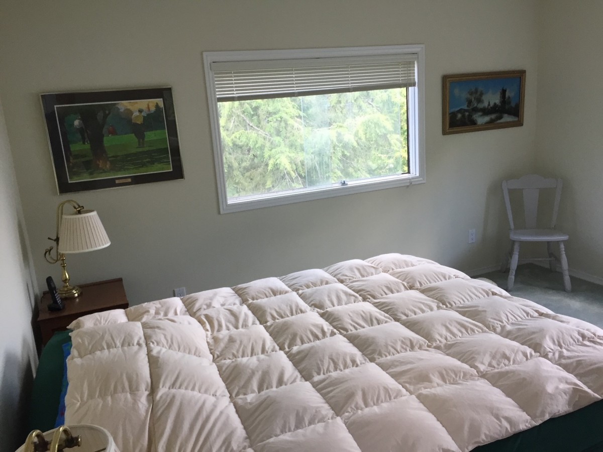 38 Anstruther Lake Island 3, North Kawartha, Ontario, Canada