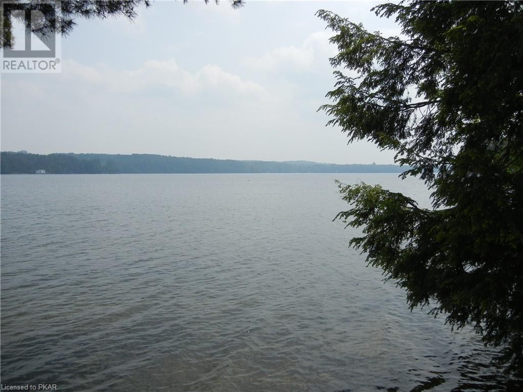 167 MOFFAT Road, North Kawartha, Ontario, Canada