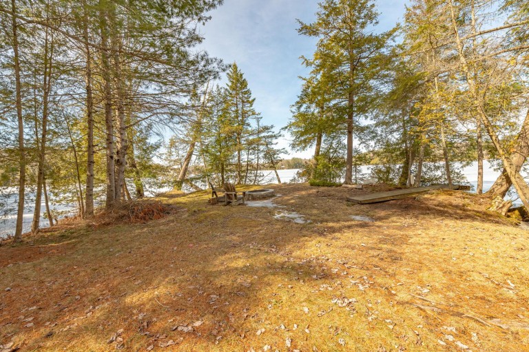 401 Scott's Rd W, North Kawartha, Ontario, Canada photo 43