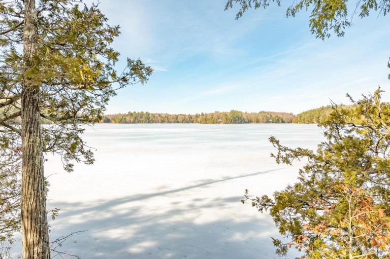 401 Scott's Rd W, North Kawartha, Ontario, Canada photo 40