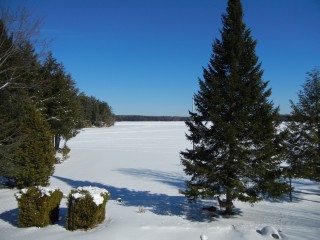 2228 BALMER RD, North Kawartha, Ontario, Canada