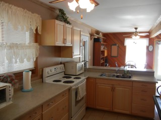 486 CALDWELL RD, North Kawartha, Ontario, Canada