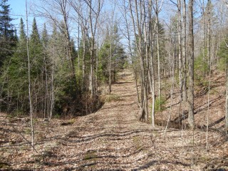 VACANT LAND CLYDESDALE RD, North Kawartha, Ontario, Canada