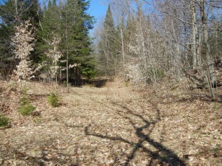 VACANT LAND CLYDESDALE RD, North Kawartha, Ontario, Canada