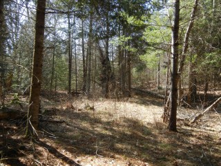 VACANT LAND CLYDESDALE RD, North Kawartha, Ontario, Canada