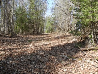 VACANT LAND CLYDESDALE RD, North Kawartha, Ontario, Canada