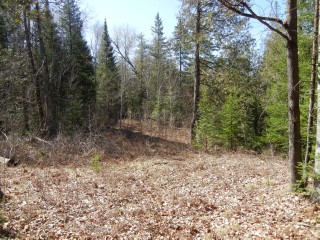 VACANT LAND CLYDESDALE RD, North Kawartha, Ontario, Canada