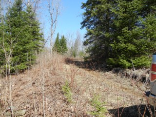VACANT LAND CLYDESDALE RD, North Kawartha, Ontario, Canada