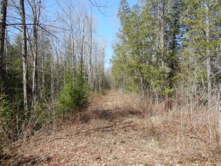 VACANT LAND CLYDESDALE RD, North Kawartha, Ontario, Canada