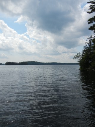 195 WALKES ROAD, North Kawartha, Ontario, Canada