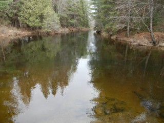 10171 HIGHWAY 28, North Kawartha, Ontario, Canada