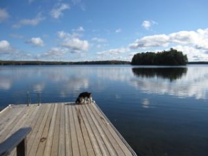2217 Balmer Road, North Kawartha, Ontario, Canada