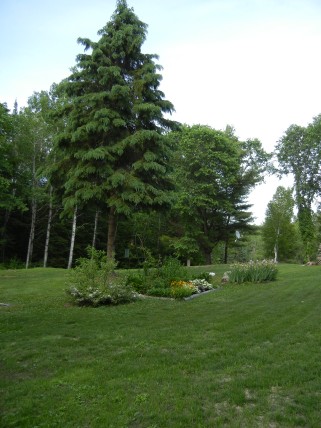 179 CALDWELL RD, North Kawartha, Ontario, Canada