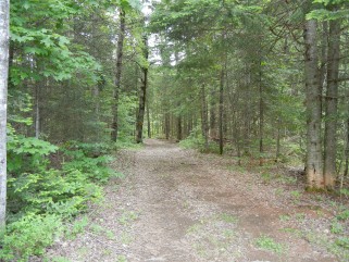 179 CALDWELL RD, North Kawartha, Ontario, Canada