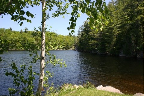 1579 ANSTRUTHER LAKE RD 2, North Kawartha, Ontario, Canada