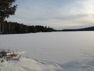 77 TALLAN LAKE RD, North Kawartha, Ontario, Canada